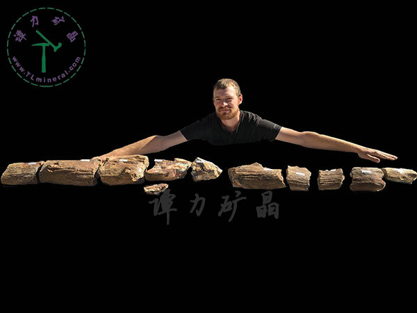 基尼斯之最-歐泊王，210cm,澳大利亞