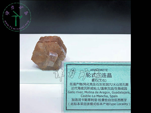 輪式三連晶霰石，西班牙