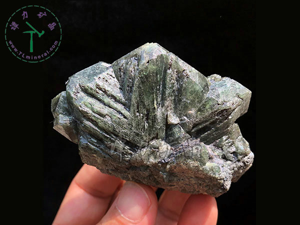 亞歷山大石（變石）輪式雙晶+津巴布韋，12x10x5.0(陽光下拍攝)