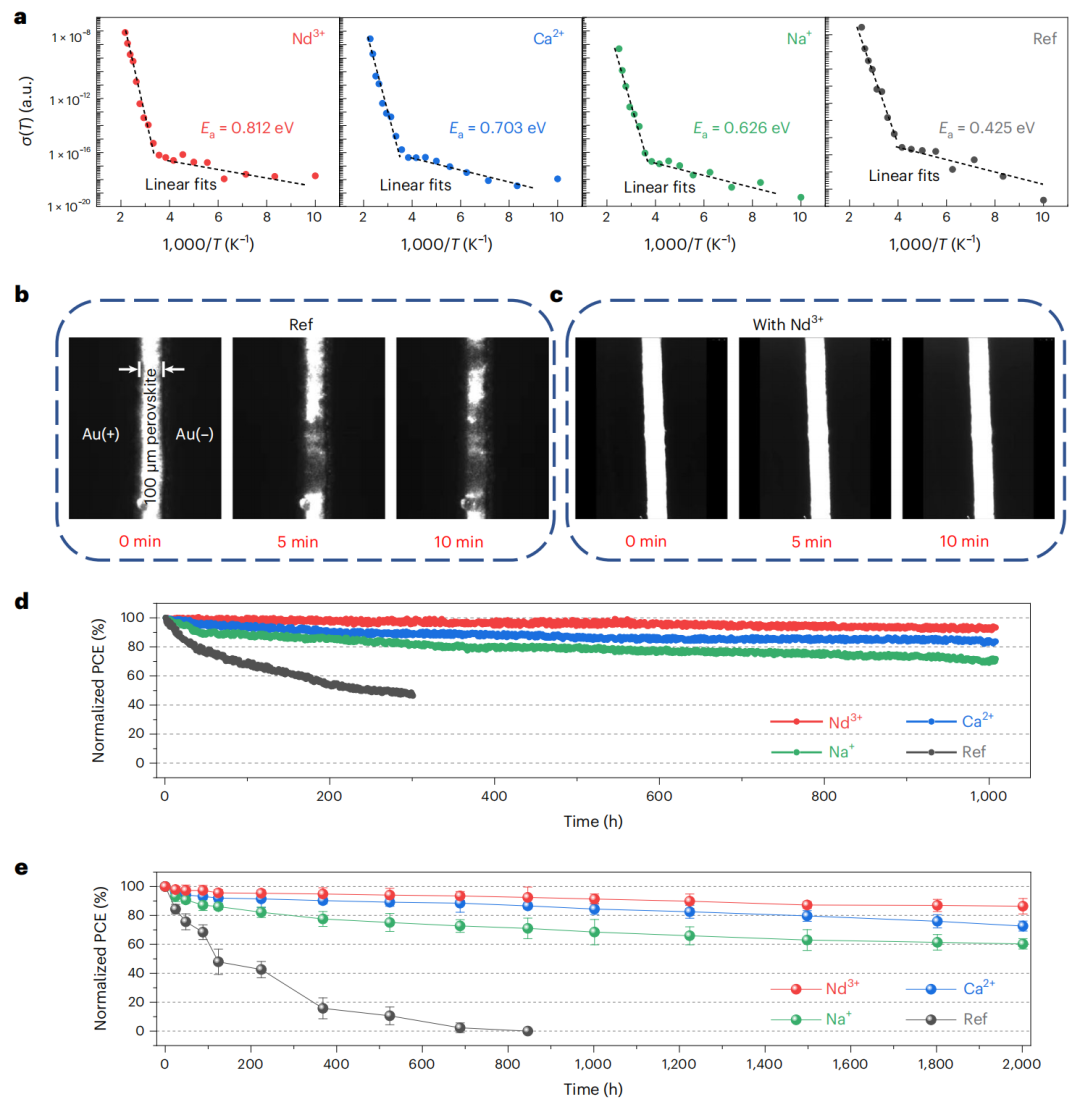 UCLA楊陽教授，最新Nature Materials！