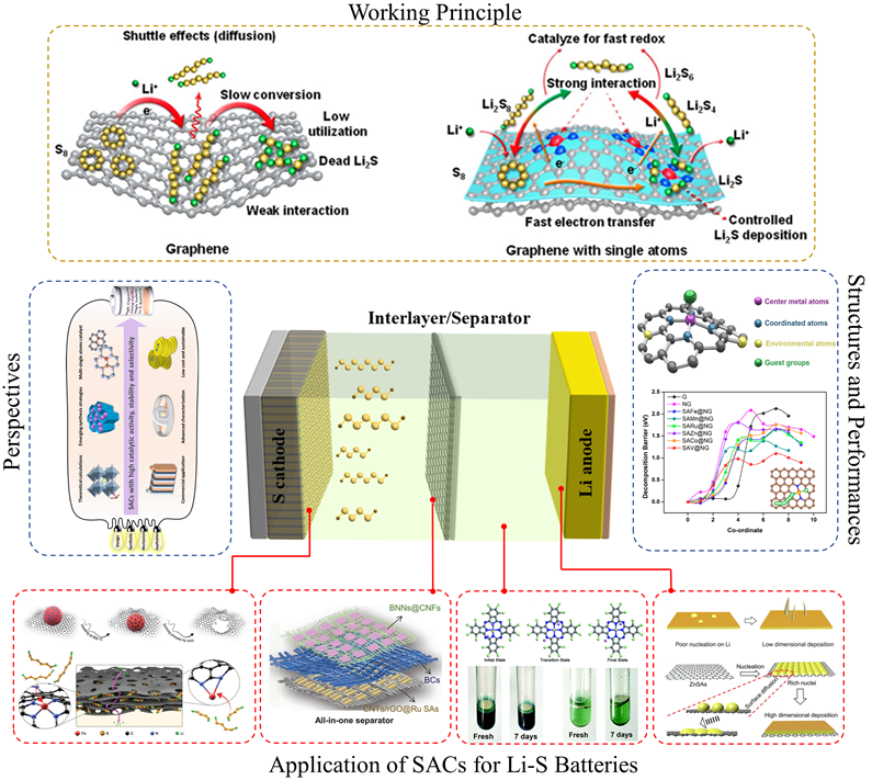 深圳大學EnSM綜述：單原子催化劑在鋰硫電池中的基礎研究、應用及發(fā)展前景