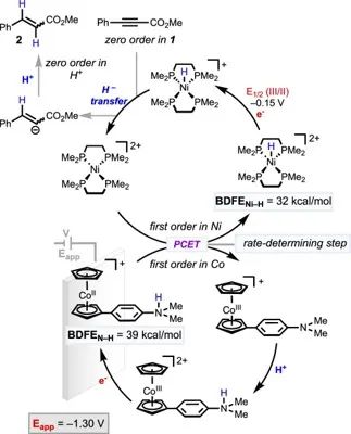 ?JACS：使用PCET介體使Ni-HER電催化劑作為氫化物傳遞劑