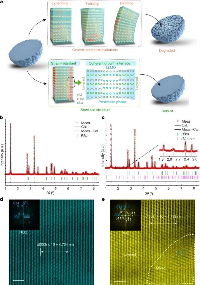 浙江大學(xué)吳天品&陸俊，最新Nature！