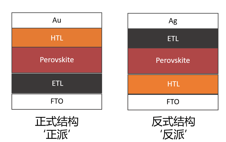 她，“正反兩派”，都拿下第一！發(fā)完Nature Photonics，出國(guó)再發(fā)Nature！