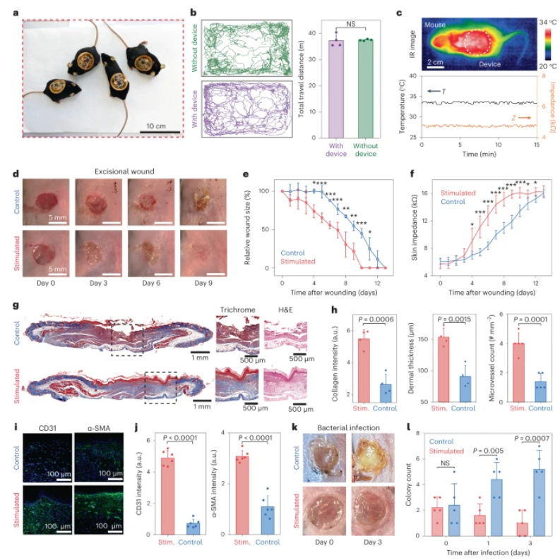 鮑哲南教授等人，最新Nature子刊！