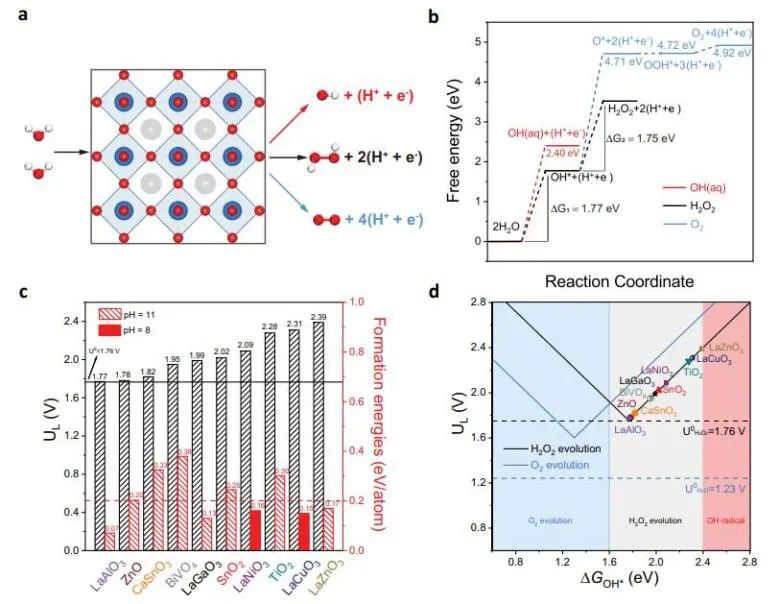 Nature子刊：理論計算加實驗，篩選出LaAlO3用于高效催化2e?WOR產(chǎn)H2O2