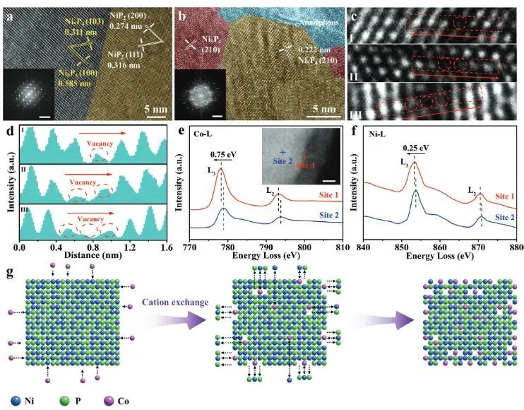 催化日?qǐng)?bào)||頂刊集錦：EES/JACS/AFM/Nano Energy/ACS Catal/Small等