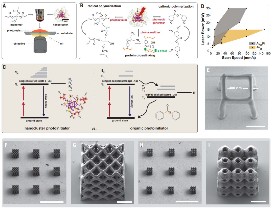 3D打印，登頂Science！