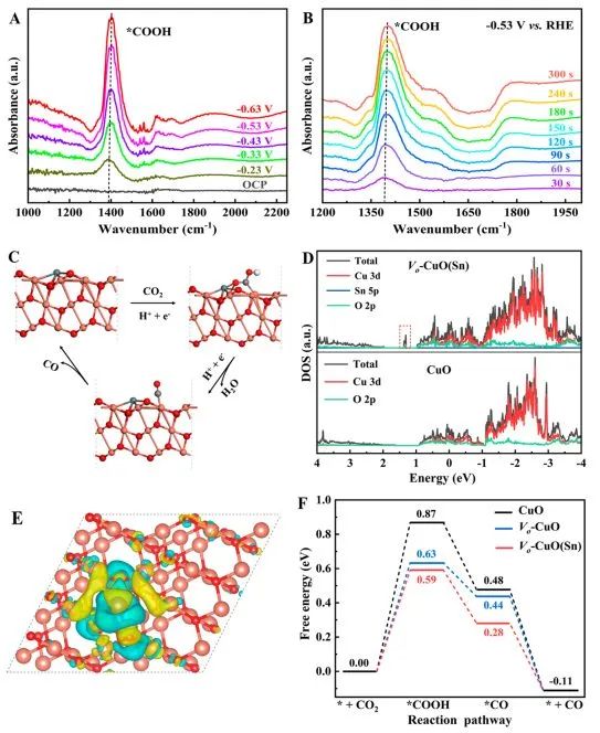 ACS Nano：氧空位協(xié)同Sn摻雜，實(shí)現(xiàn)低過電位下CuO上CO2還原為CO