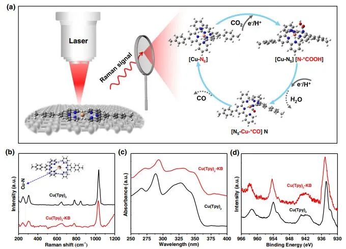 謝毅/羅奇鳴/高山/詹孝文Nature子刊：Operando光譜+DFT計(jì)算，探究Cu(Tpy)2上電催化CO2轉(zhuǎn)化機(jī)理