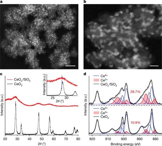 ?Nature：用于穩(wěn)定原子分散催化劑的功能性CeOx納米膠