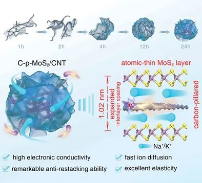 劉金平/劉丹AFM：紙球狀C-p-MoS2/CNT作為鈉/鉀離子電池的優(yōu)良負(fù)極