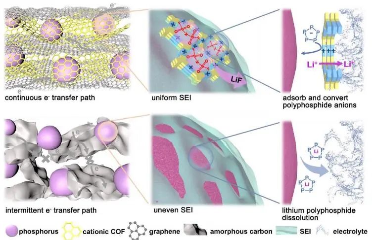 ?天大孫潔AM：新型局部電場(chǎng)策略促進(jìn)磷負(fù)極的動(dòng)力學(xué)和界面穩(wěn)定性