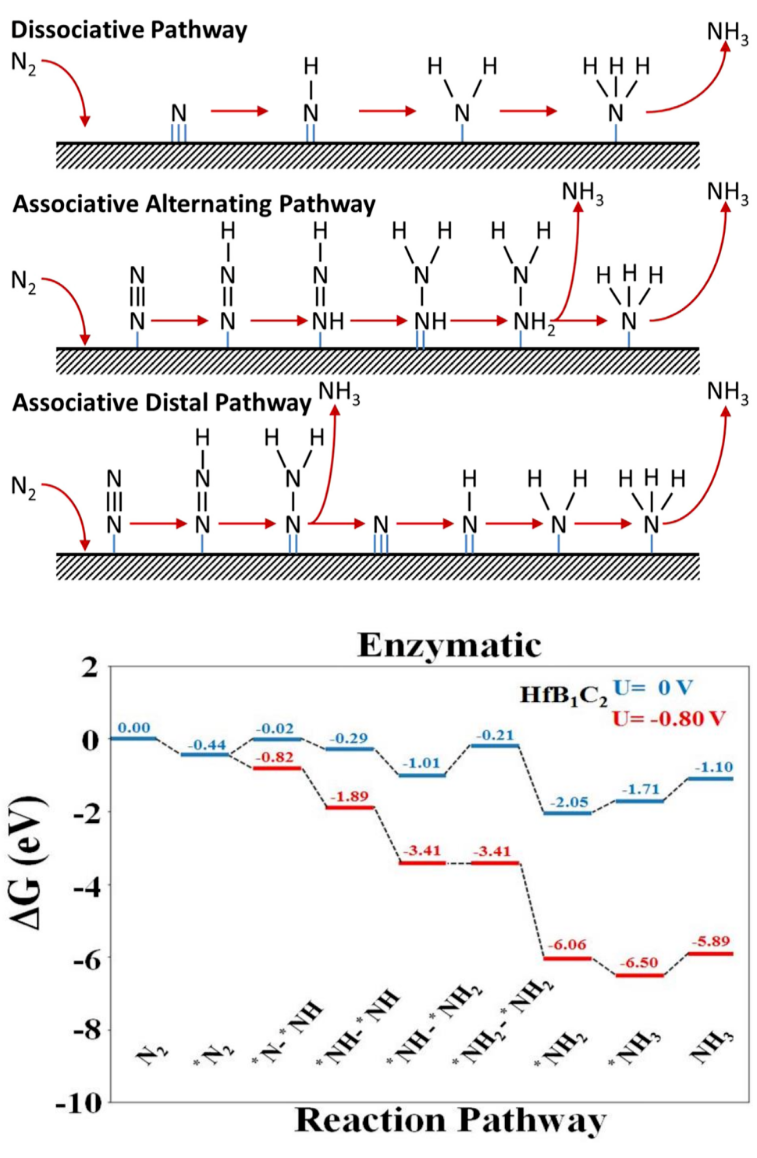 Nature Catalysis、JACS、Angew.、AM、AEM、AFM、EES等頂刊狂發(fā)，DFT代算好評如潮！