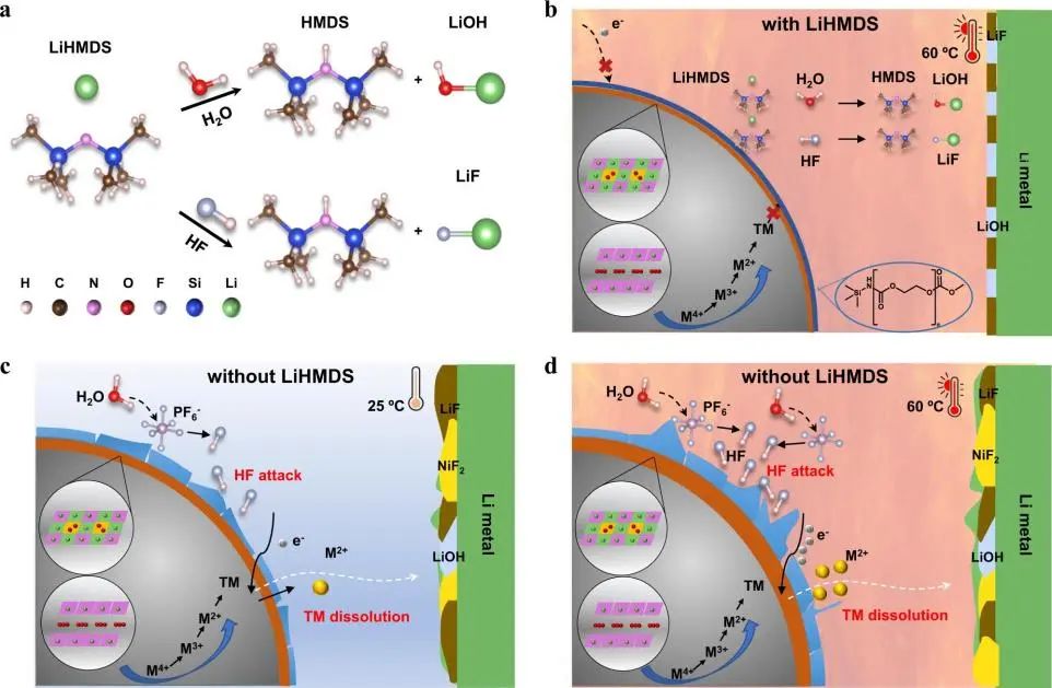 ?賀艷兵Nature子刊：LiHMDS添加劑實(shí)現(xiàn)4.5 V高壓鋰金屬電池的高效循環(huán)