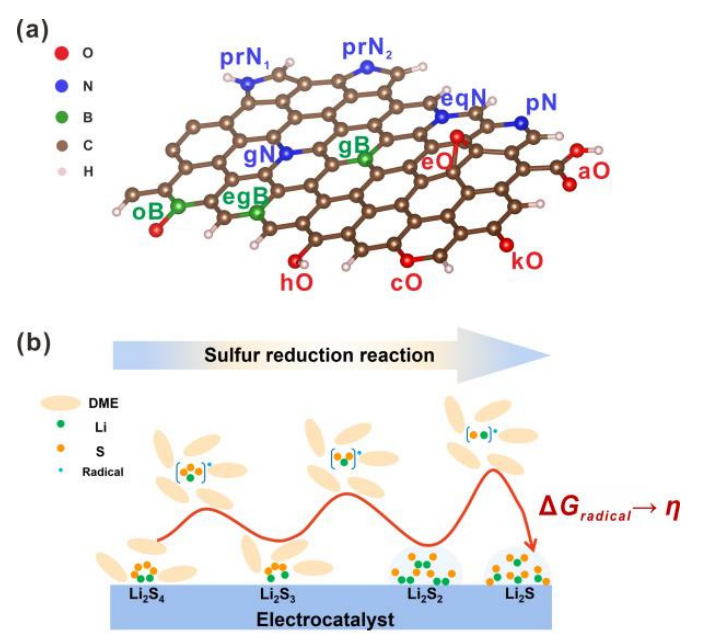馮帥/張強(qiáng)/陳翔Angew：鋰硫電池中硫還原反應(yīng)的電催化模型