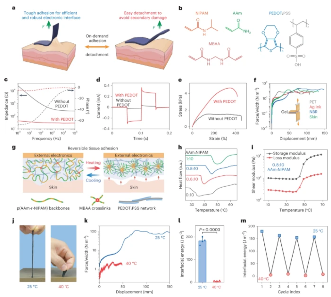 鮑哲南教授等人，最新Nature子刊！