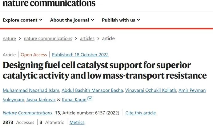 Nat. Commun.：設(shè)計(jì)具有優(yōu)異催化活性和低傳質(zhì)阻力的燃料電池催化劑載體