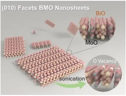 ?喬世璋等Angew：BixMOy（M=Mo, V, W）納米片助力光催化CO2還原