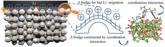 哈工大AFM：低阻抗固態(tài)電池電解質(zhì)與界面層之間的快速Li+轉(zhuǎn)移橋