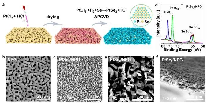 ACS Energy Letters：控制生長+缺陷工程，助力垂直PtSe2納米片高效電催化HER