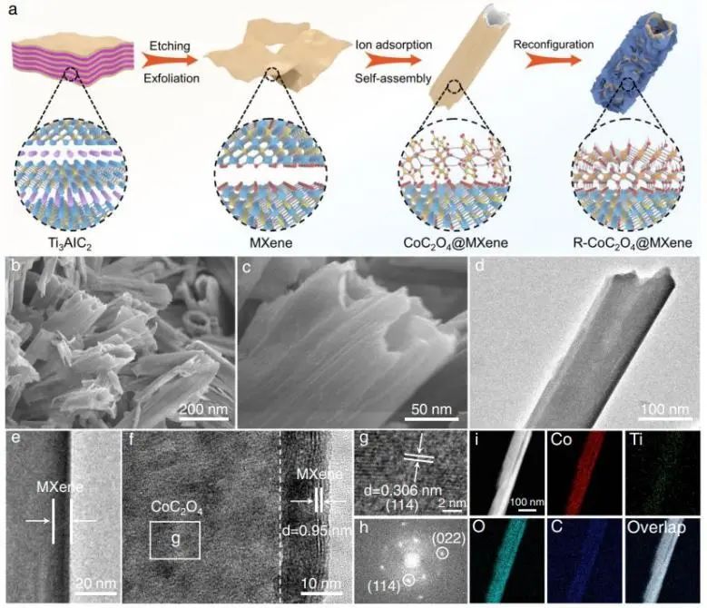 催化頂刊集錦：?Nature子刊：、ACS Catal.、Nano Energy、ACS Energy Letters等