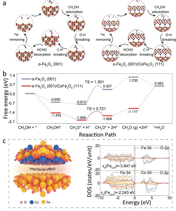 計(jì)算+實(shí)驗(yàn)頂刊集錦：Nature子刊、Adv. Mater.、Angew等最新成果精選！