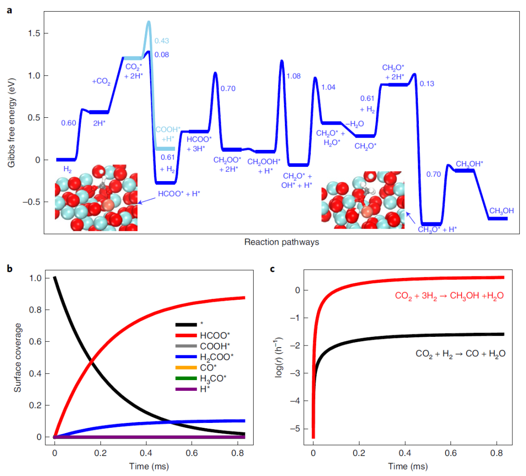 今日重磅！譚理&劉智攀Nature Catalysis：單原子催化！