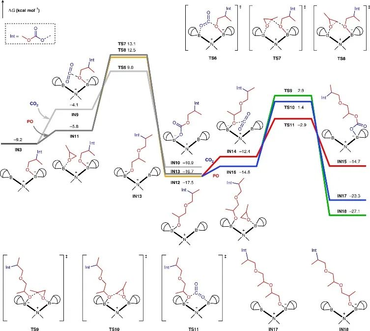 浙大伍廣朋Nat. Synth.：有機硼催化劑實現(xiàn)CO2和環(huán)氧化物的精密共聚