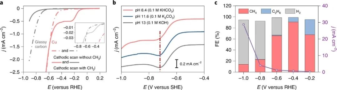 楊培東，最新Nature Catalysis！