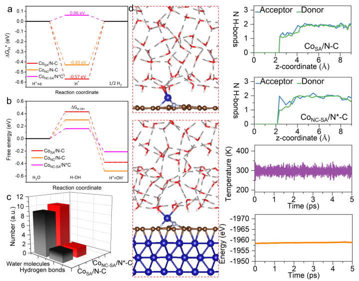 ACS Catalysis：單原子Co-N3位點/Co納米顆粒的界面H2O活化加速電催化析氫