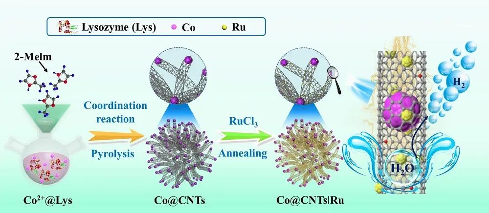 ?三單位聯(lián)合Nano-Micro Lett.：Co@CNTs?Ru在全pH高效催化析氫