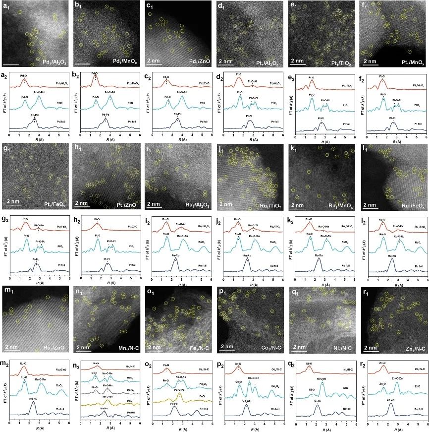 紀紅兵/馬丁，最新Nature子刊！