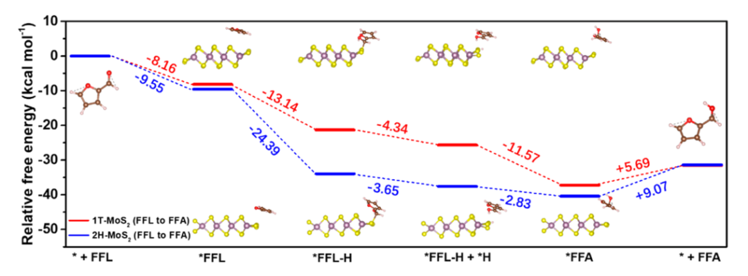 ACS Catalysis：MoS2相變控制電催化糠醛加氫或者二聚選擇性