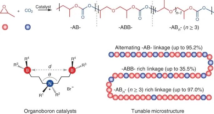 浙大伍廣朋Nat. Synth.：有機硼催化劑實現(xiàn)CO2和環(huán)氧化物的精密共聚