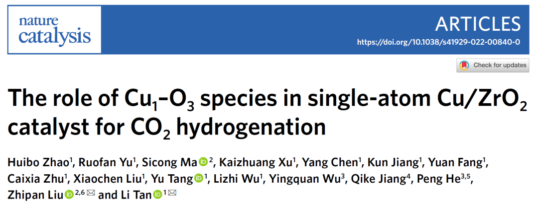 今日重磅！譚理&劉智攀Nature Catalysis：單原子催化！