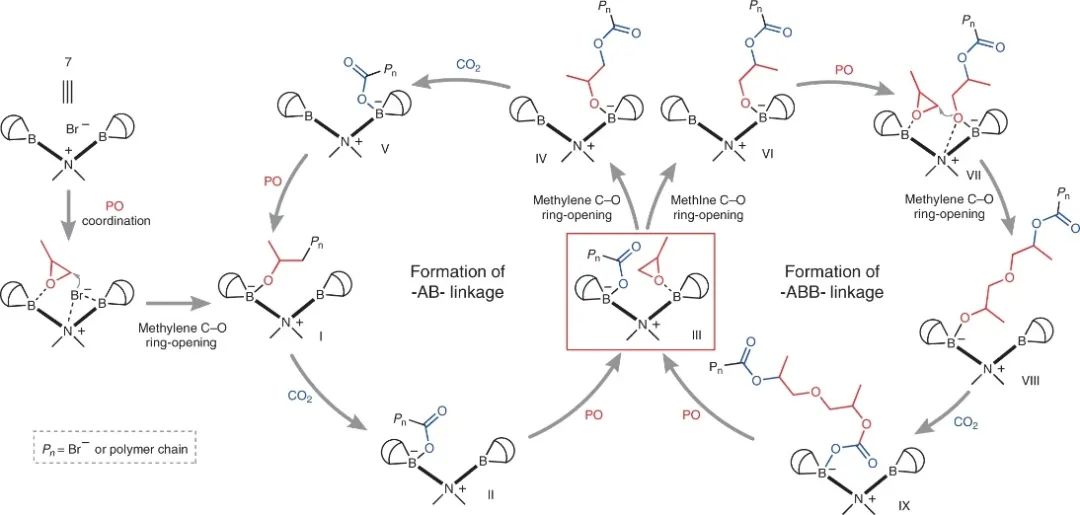 浙大伍廣朋團隊Nature Synthesis：CO2和環(huán)氧丙烷精準(zhǔn)共聚！