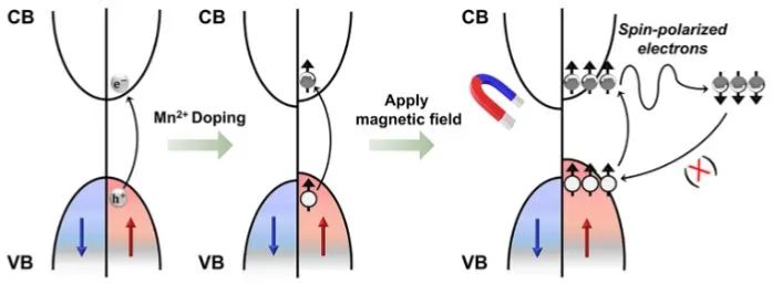 最新催化頂刊：JACS、EES、AM、AFM、ACS Catalysis、Nano Letters、NML等成果集錦！