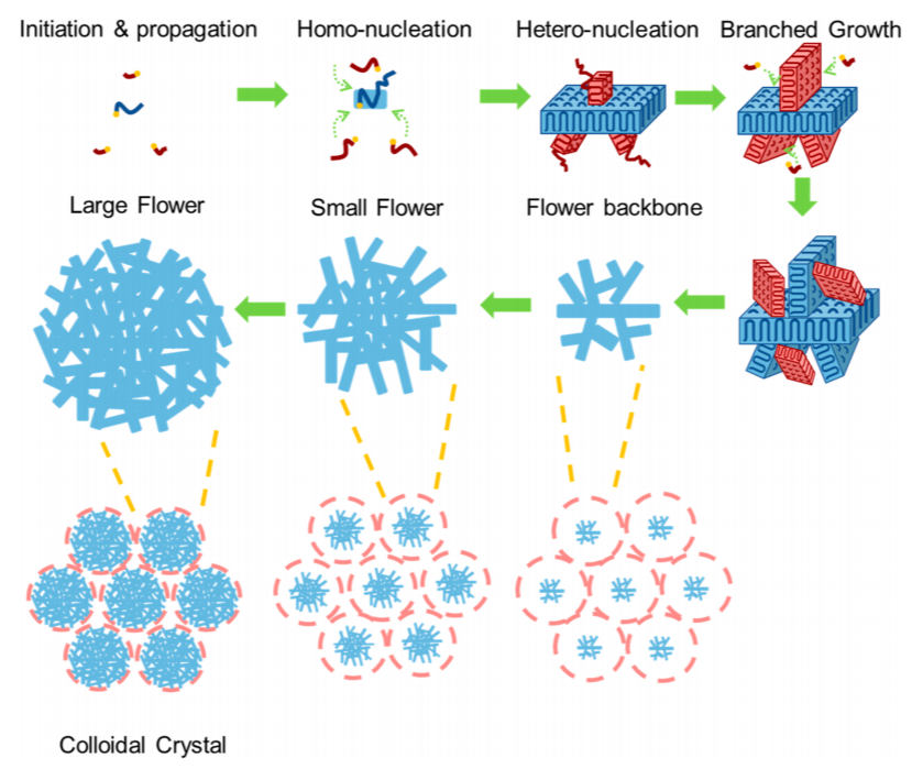 鮑哲南教授，最新JACS！