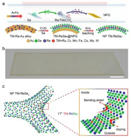 最新催化頂刊：JACS、EES、AM、AFM、ACS Catalysis、Nano Letters、NML等成果集錦！