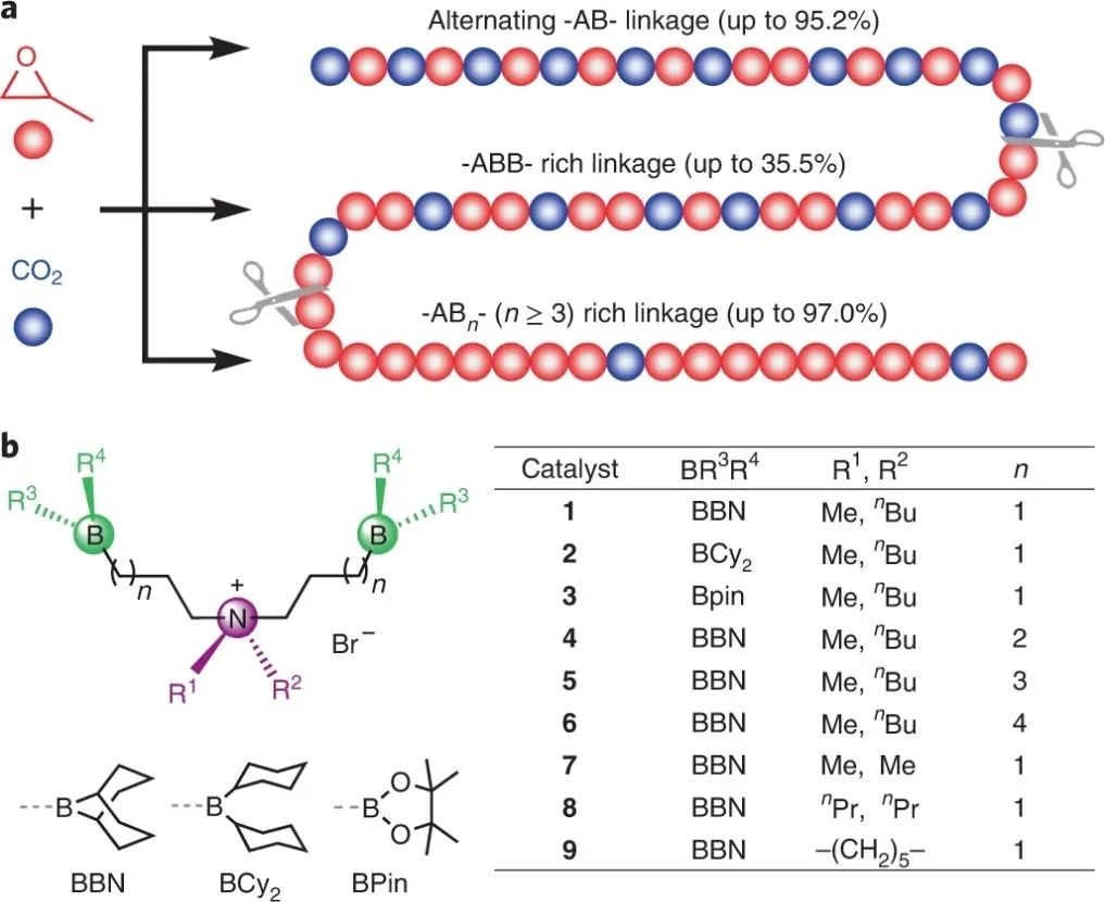 浙大伍廣朋團隊Nature Synthesis：CO2和環(huán)氧丙烷精準(zhǔn)共聚！