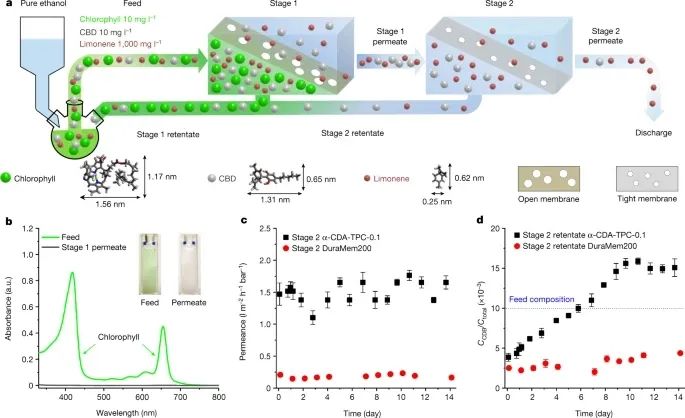 ?分子篩，再登Nature！