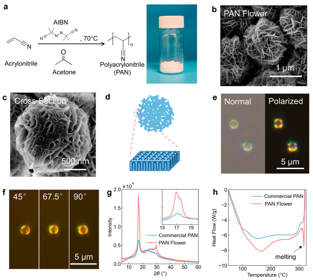 鮑哲南教授，最新JACS！