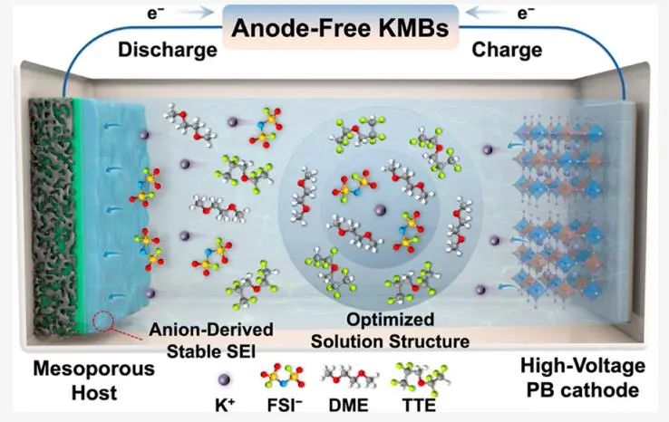 華科大謝佳團(tuán)隊(duì)ACS Energy Lett.：定制電解質(zhì)和主體結(jié)構(gòu)實(shí)現(xiàn)高能量密度無負(fù)極鉀金屬電池