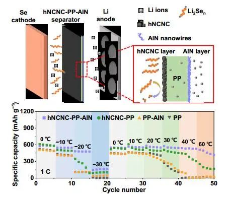 胡征/楊立軍/吳強(qiáng)Adv. Mater.：1+1＞2！高倍率Li-Se電池運(yùn)行溫度-30至60 °C