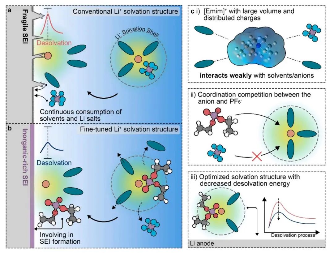 ?浙大Nano Energy：通過(guò)陰離子的空間效應(yīng)和溶劑化化學(xué)微調(diào)Li+溶劑化結(jié)構(gòu)