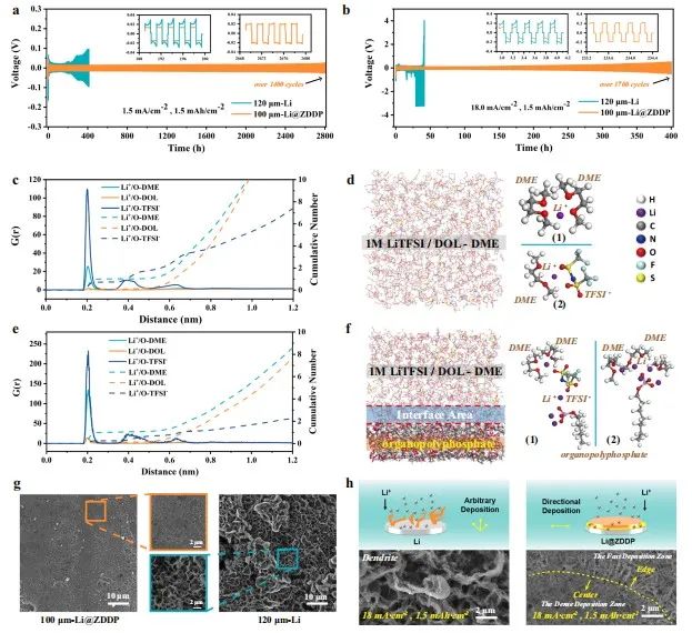 中南陳立寶/陳月皎，最新Nature子刊！