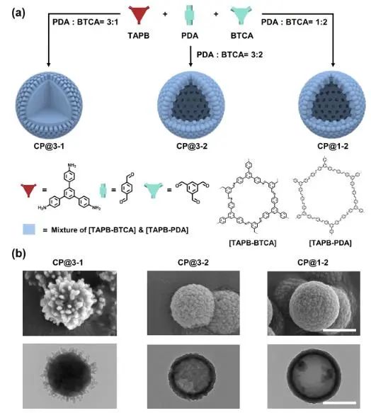 ?浙大JACS：通過動態(tài)組合精確調(diào)控COF中多級孔結(jié)構(gòu)，探究其催化應用