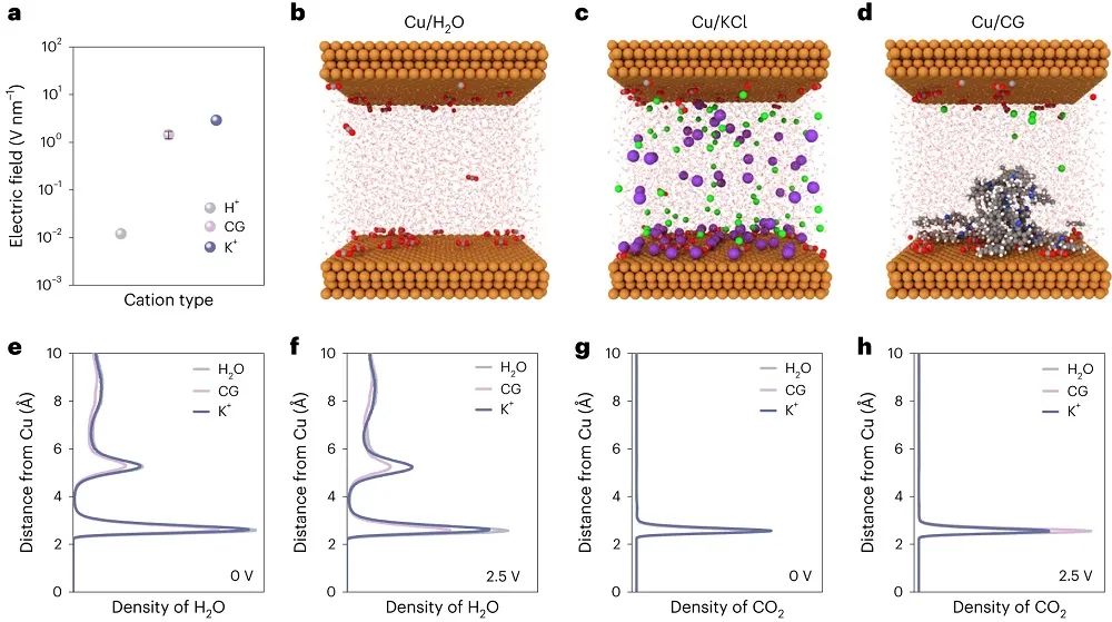 院士聯(lián)合出擊！多倫多大學(xué)/奧克蘭大學(xué)最新Nature Catalysis！