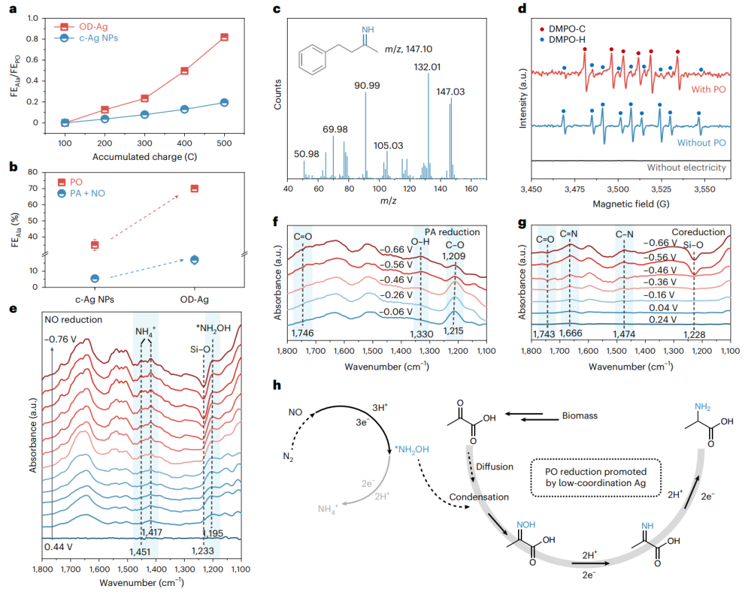 天津大學(xué)張兵教授課題組，今年第2篇Nature Catalysis！